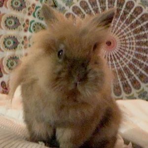 Meet your Posher, Caitlin